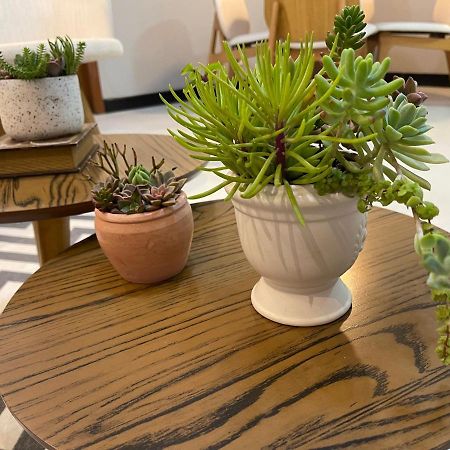 סנטה תרזה Apartamento Em Santa Teresa מראה חיצוני תמונה