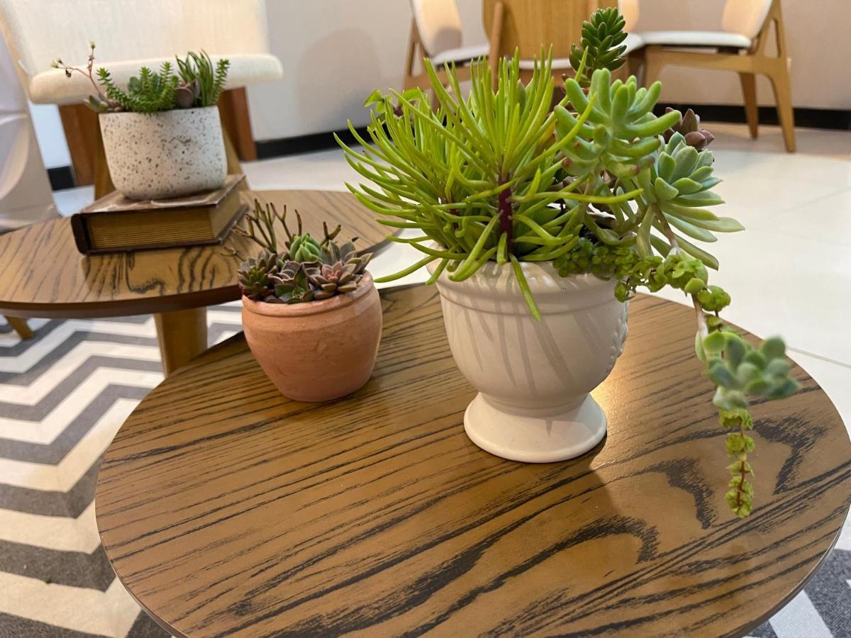 סנטה תרזה Apartamento Em Santa Teresa מראה חיצוני תמונה